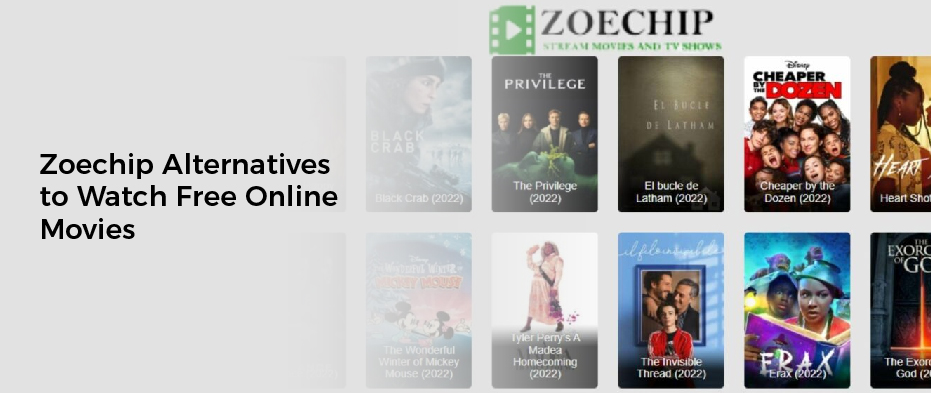 Zoechip Alternatives to Watch Free Online Movies