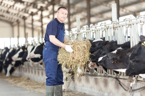 Botany at Dairy Farm