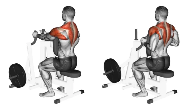 The Helms Row – The Best Back Exercise For Hypertrophy