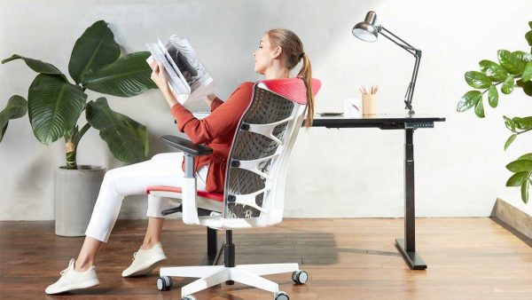 Le Guide Ultime pour Choisir la Meilleure Chaise de Bureau Ergonomique