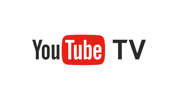 The Dynamics of YouTube Views: Unveiling the Metrics Behind Online Engagement